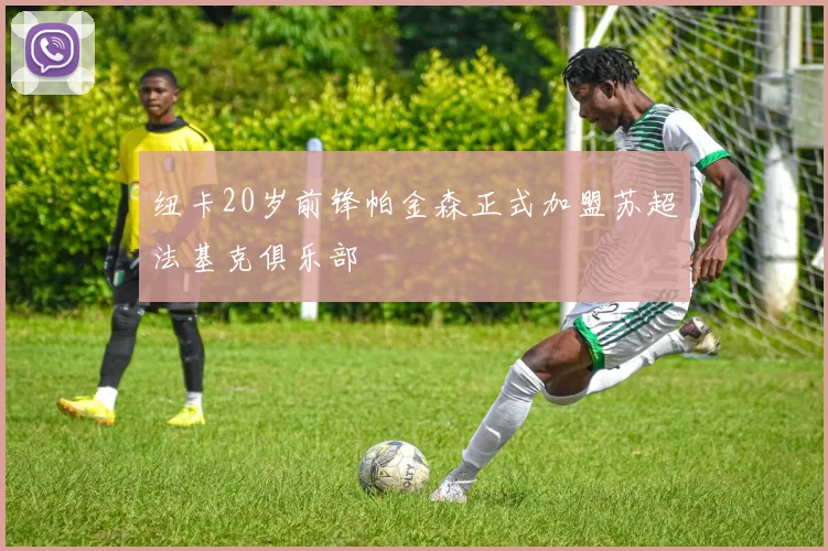 纽卡20岁前锋帕金森正式加盟苏超法基克俱乐部
