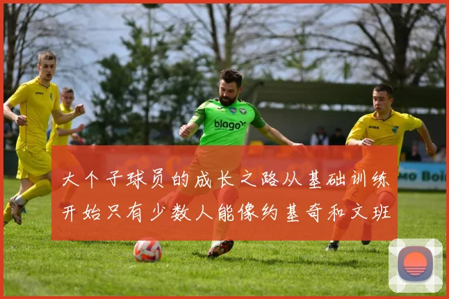 大个子球员的成长之路从基础训练开始只有少数人能像约基奇和文班那样成功