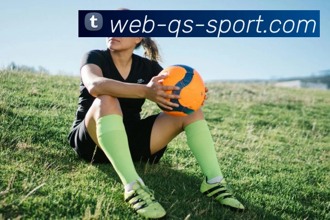 球速体育APP 封面图